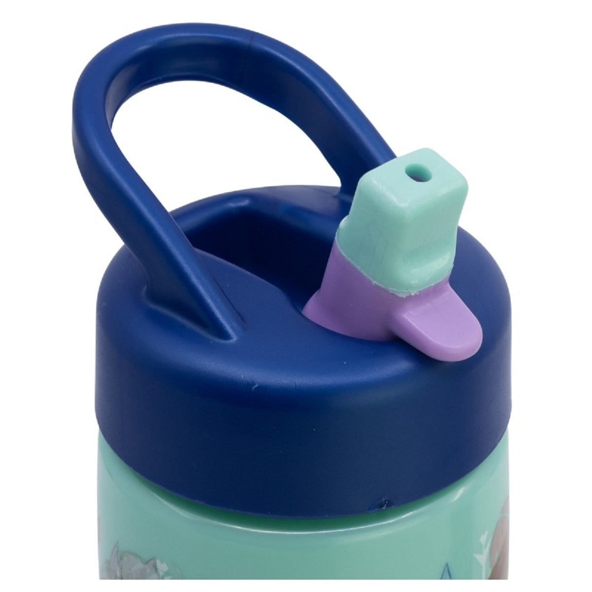 Disney Frozen Kinder Wasserflasche 410 ml für Alltag Schule und unterwegs