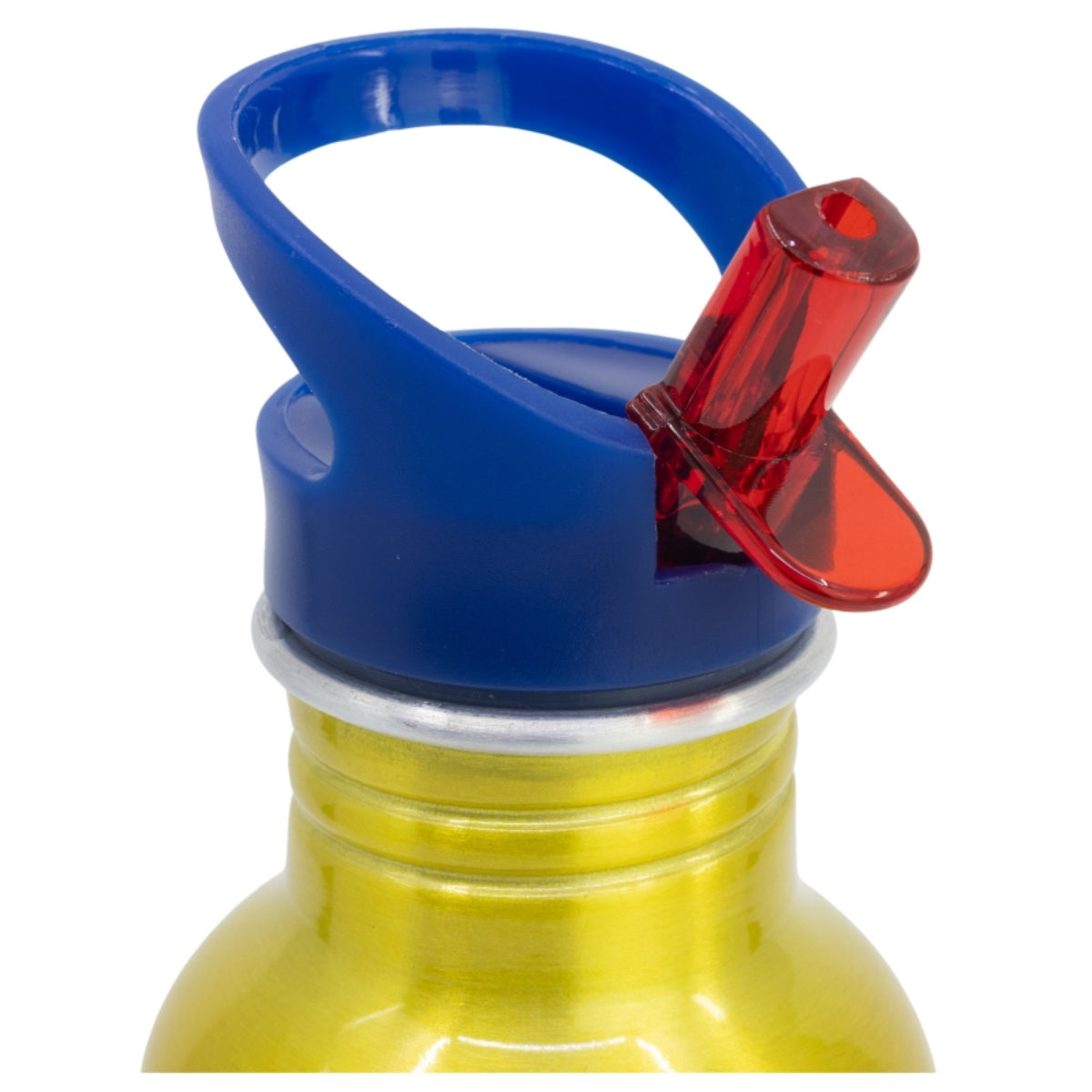 Paw Patrol Wasserflasche 545 ml Flasche mit Trinkaufsatz und Schraubverschluss