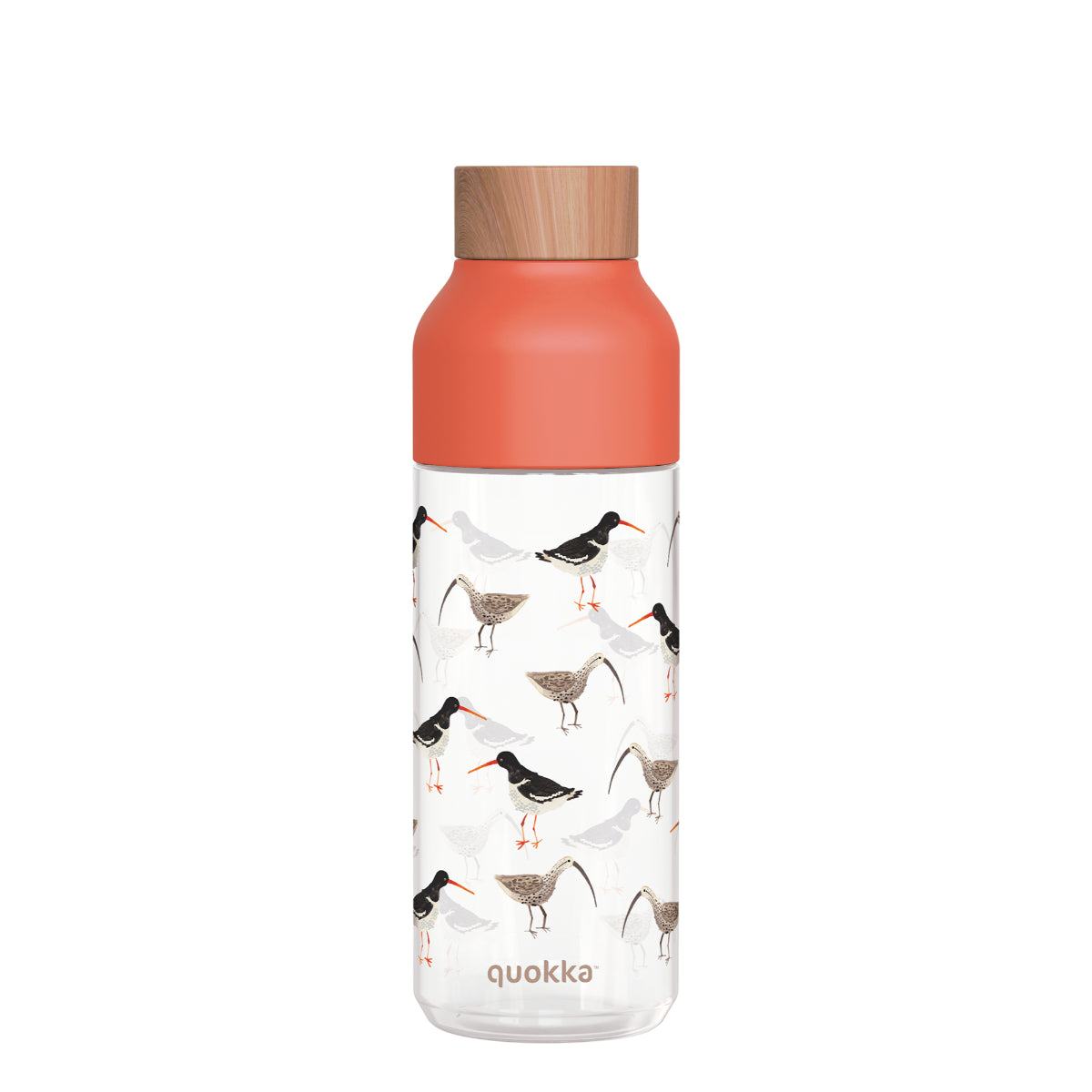 Quokka Trinkflasche 720 ml Birds Ecozen auslaufsicher
