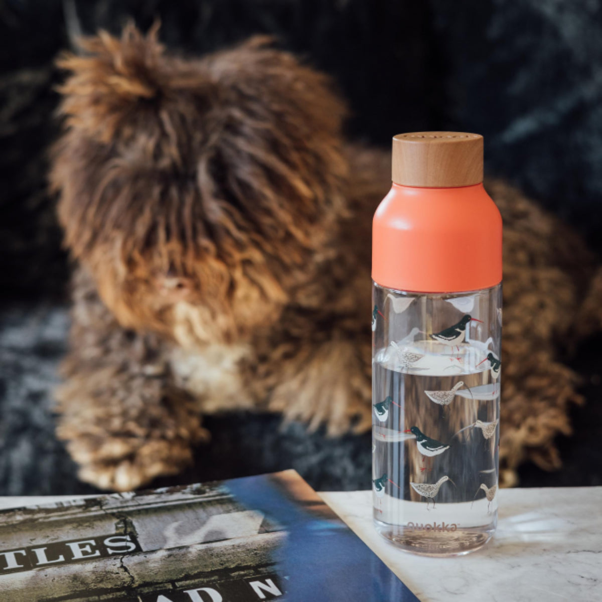 Quokka Trinkflasche 720 ml Birds Ecozen auslaufsicher