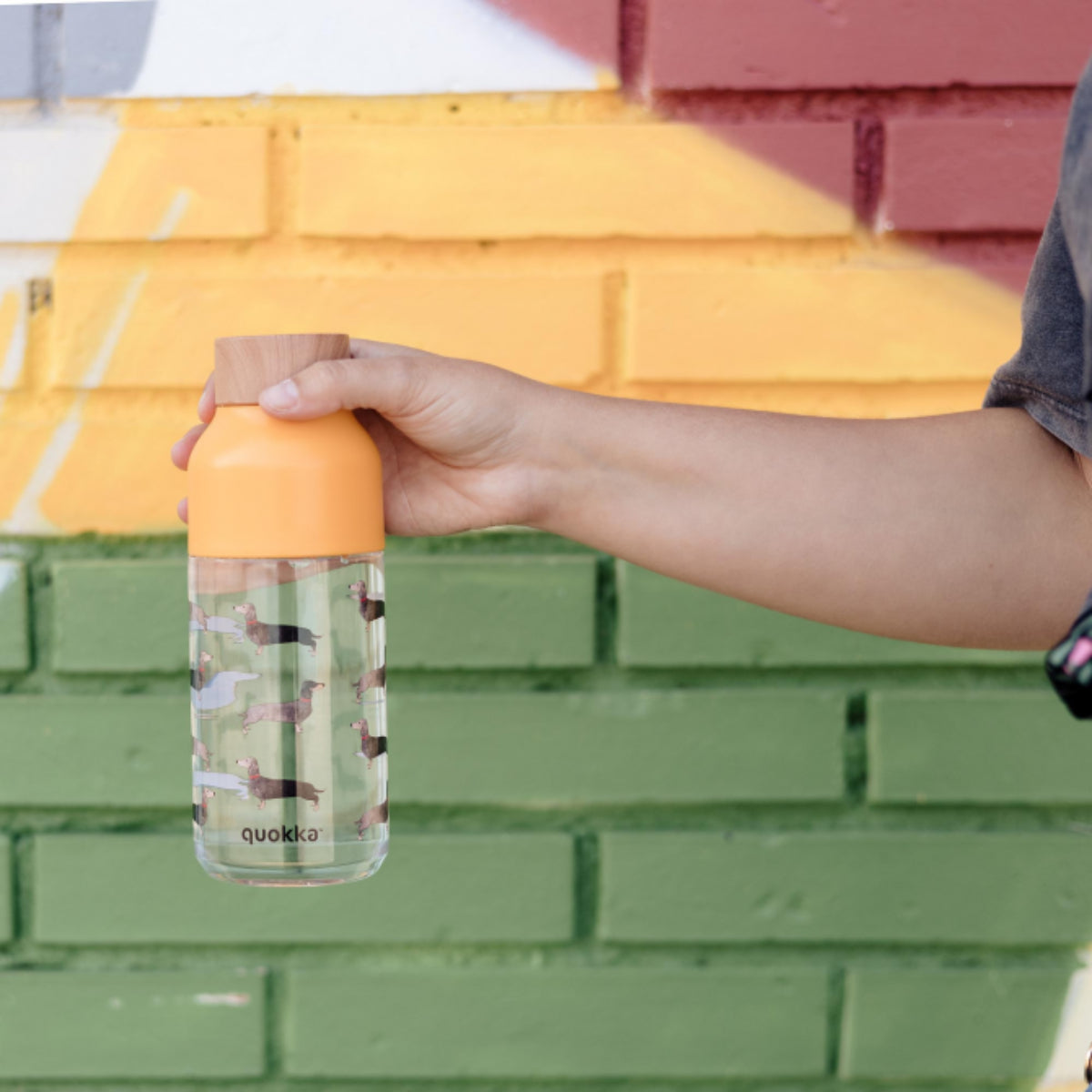 Quokka Ice Wasserflasche 570 ml Dachshund für kalte Getränke