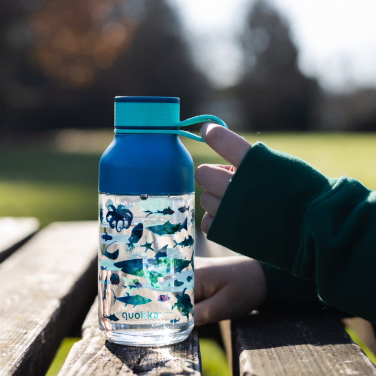 Quokka Ice Kids Trinkflasche 430 ml SEA ANIMALS Abnehmbare Austattung