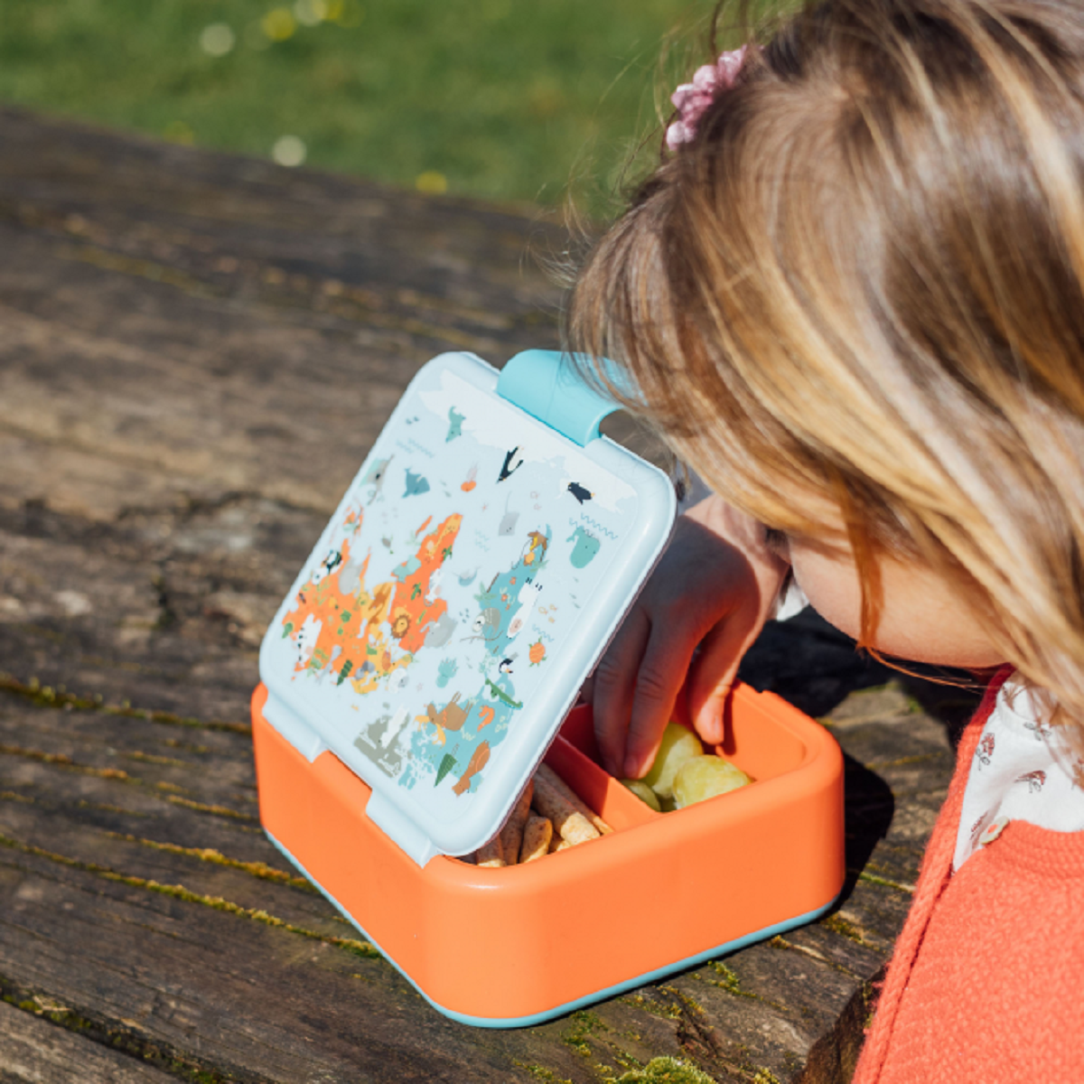 Quokka Map of Life Brotdose Doppelwand Kinder Lunchbox 3-Fächer