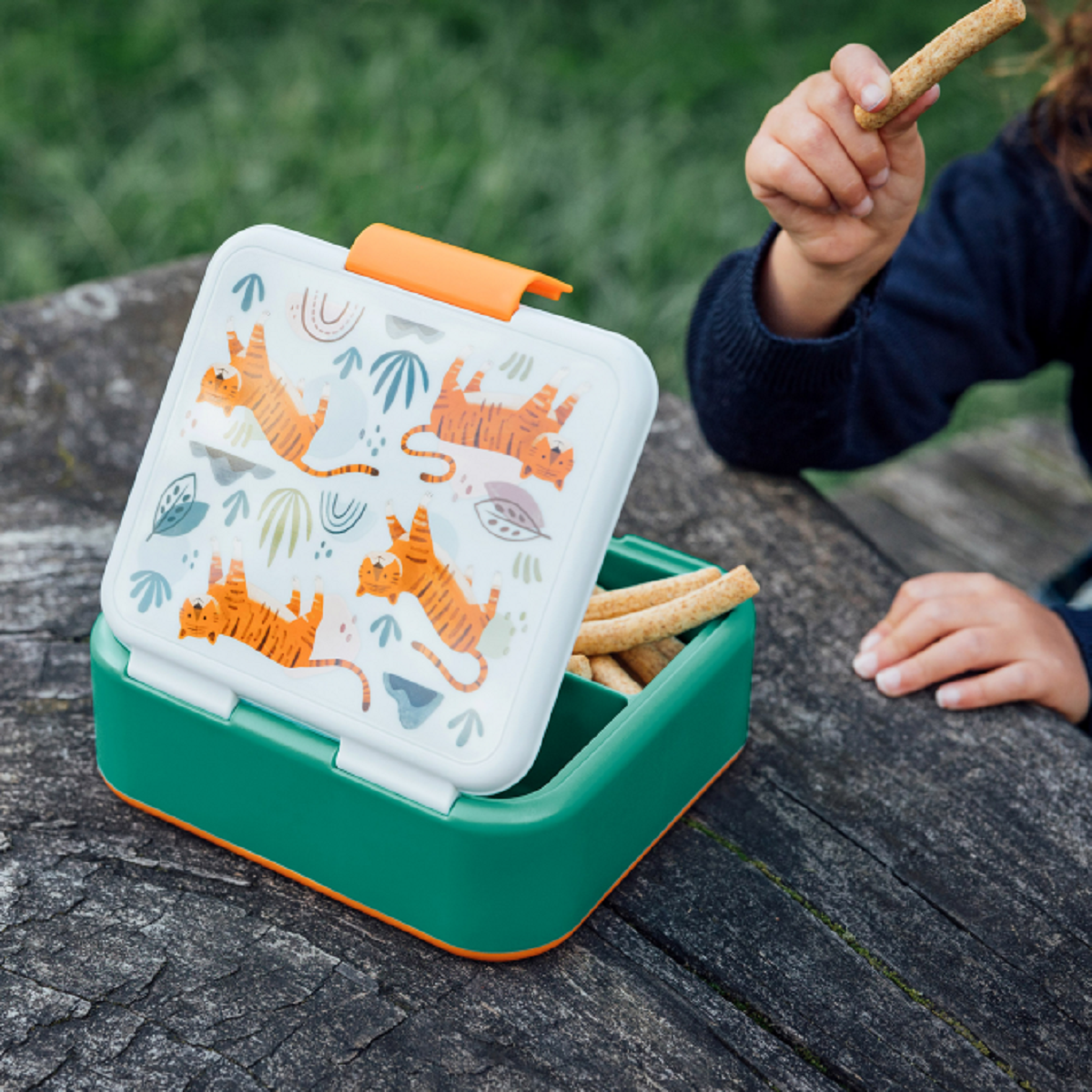 Quokka Tigers Brotdose Doppelwand Kinder Lunchbox 3-Fächer